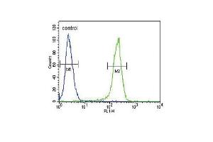 CCR7 Antibody (N-term) (ABIN651190 and ABIN2840119) flow cytometric analysis of 293 cells (right histogram) compared to a negative control cell (left histogram). (CCR7 antibody  (N-Term))