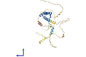Protein Structure (PS) image for Pituitary Homeobox 3 (PITX3) (AA 1-302) protein (His tag) (ABIN7562273)