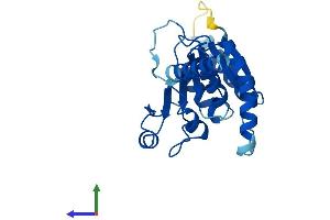 Protein Structure (PS) image for Asparagine-Linked Glycosylation 14 Homolog (ALG14) (AA 1-217) protein (His tag) (ABIN7560818)