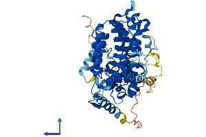Protein Structure (PS) image for Sestrin 1 (SESN1) (AA 1-492) protein (His tag) (ABIN7545996)