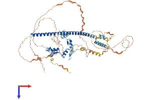 Zinc Finger Protein 282 (ZNF282) (AA 1-671) protein (His tag)
