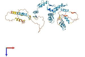 AlphaFold protein structure predicition of Human Recombinant ZNF556 Protein, UniprotID Q9HAH1