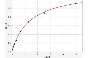 Typical standard curve (ADAMTS10 ELISA Kit)