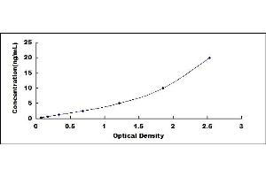 Typical standard curve (Androgen Receptor ELISA Kit)