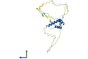 Protein Structure (PS) image for Hematopoietically Expressed Homeobox (HHEX) (AA 1-271) protein (His tag) (ABIN7563254)