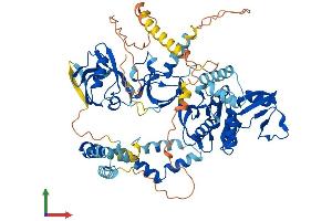 Protein Structure (PS) image for Membrane Protein, Palmitoylated 5 (MAGUK P55 Subfamily Member 5) (MPP5) (AA 1-675) protein (His tag) (ABIN7561670)