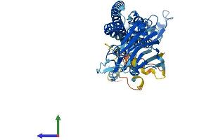 Protein Structure (PS) image for Tripartite Motif Containing 49B (TRIM49B) (AA 1-452) protein (His tag) (ABIN7544734)