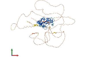 Protein Structure (PS) image for T-Box 2 (TBX2) (AA 1-712) protein (His tag) (ABIN7544298)
