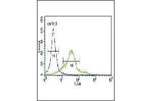 Sestrin-2 Antibody (Center) (ABIN652222 and ABIN2840929) flow cytometric analysis of 293 cells (right histogram) compared to a negative control cell (left histogram). (Sestrin 2 antibody  (AA 283-311))