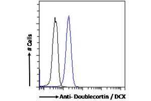 ABIN6391364 Flow cytometric analysis of paraformaldehyde fixed Kelly cells (blue line), permeabilized with 0. (Doublecortin antibody  (AA 69-81))