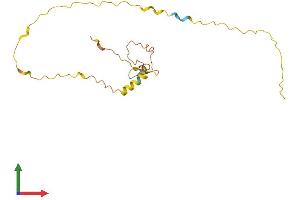 Protein Structure (PS) image for Myelin Associated Oligodendrocyte Basic Protein (MOBP) (AA 1-183) protein (His tag) (ABIN7549537)