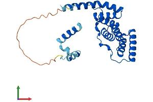 AlphaFold protein structure predicition of Human Recombinant ST13P4 Protein, UniprotID Q8IZP2 (ST13P4 Protein (AA 1-240) (His tag))