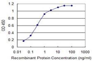 Detection limit for recombinant GST tagged CACNA1C is 0. (CACNA1C antibody  (AA 2039-2138))