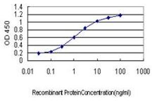 Detection limit for recombinant GST tagged KLF1 is approximately 0. (KLF1 antibody  (AA 183-237))