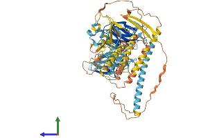 Protein Structure (PS) image for Fanconi Anemia, Complementation Group B (FANCB) (AA 1-703) protein (His tag) (ABIN7557573)