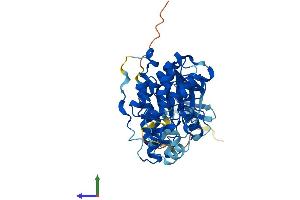 AlphaFold protein structure predicition of Human Recombinant MAPK12 Protein, UniprotID P53778 (MAPK12 Protein (AA 1-367) (His tag))