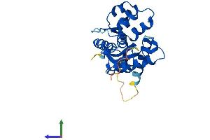 AlphaFold protein structure predicition of Mouse Recombinant Nmnat3 Protein, UniprotID Q99JR6 (NMNAT3 Protein (AA 1-245) (His tag))