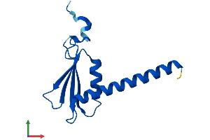 AlphaFold protein structure predicition of Human Recombinant POLR2J Protein, UniprotID P52435 (POLR2J Protein (AA 1-117) (His tag))
