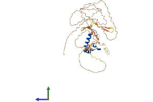 Protein Structure (PS) image for Nuclear Transcription Factor Y, alpha (NFYA) (AA 1-346) protein (His tag) (ABIN7562982)