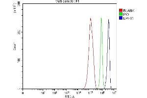 Flow Cytometry analysis of RT4 cells using anti-Epoxide hydrolase/EPHX1 antibody (ABIN7601696). (EPHX1 antibody  (AA 42-455))