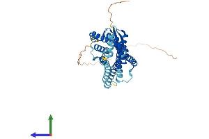 AlphaFold protein structure predicition of Mouse Recombinant Prlhr Protein, UniprotID Q6VMN6