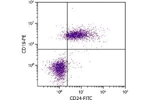 C57BL/6 mouse splenocytes were stained with Rat Anti-Mouse CD24-FITC. (CD24 antibody  (FITC))