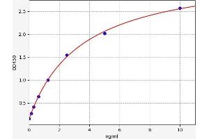 PLIN1 ELISA Kit