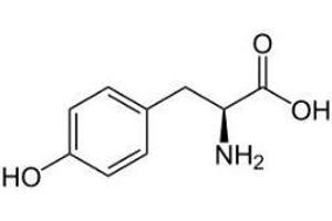 Image no. 1 for Tyrosinase (TYR) peptide (Ovalbumin) (ABIN5666396) (Tyrosinase (TYR) peptide (Ovalbumin))