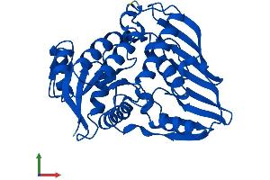 AlphaFold protein structure predicition of Human Recombinant DHDH Protein, UniprotID Q9UQ10 (DHDH Protein (AA 1-334) (His tag))