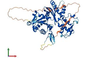 Protein Structure (PS) image for Actin-Like 7A (ACTL7A) (AA 1-435) protein (His tag) (ABIN7551876)