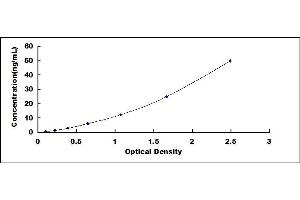 Typical standard curve