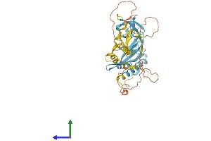 AlphaFold protein structure predicition of Human Recombinant NOXO1 Protein, UniprotID Q8NFA2 (NOXO1 Protein (AA 1-376) (His tag))
