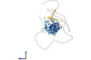 Protein Structure (PS) image for Early B-Cell Factor 1 (EBF1) (AA 1-591) protein (His tag) (ABIN7556915)