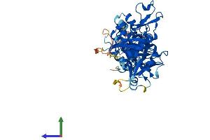 AlphaFold protein structure predicition of Mouse Recombinant Nudt12 Protein, UniprotID Q9DCN1 (NUDT12 Protein (AA 1-462) (His tag))