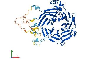AlphaFold protein structure predicition of Mouse Recombinant Grwd1 Protein, UniprotID Q810D6