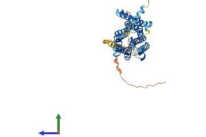 AlphaFold protein structure predicition of Mouse Recombinant Htr5b Protein, UniprotID P31387