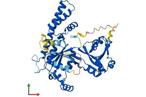 AlphaFold protein structure predicition of Mouse Recombinant Ola1 Protein, UniprotID Q9CZ30 (OLA1 Protein (AA 1-396) (His tag))