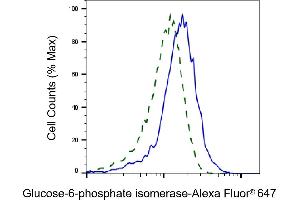 Validation of Glucose-6-phosphate isomerase knockdown using flow cytometry.