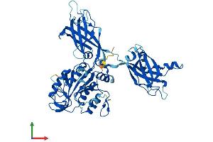 AlphaFold protein structure predicition of Mouse Recombinant Cpne3 Protein, UniprotID Q8BT60