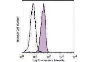 Flow Cytometry (FACS) image for anti-Endoglin (ENG) antibody (PerCP-Cy5.5) (ABIN2659049) (Endoglin antibody  (PerCP-Cy5.5))