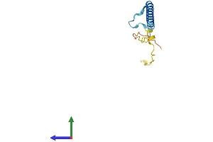 AlphaFold protein structure predicition of Mouse Recombinant D8Ertd738e Protein, UniprotID Q8R1F0