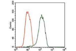 Flow cytometric analysis of SK-N-SH cells using NEFM mouse mAb (green) and negative control (red). (NEFM antibody  (AA 381-443))