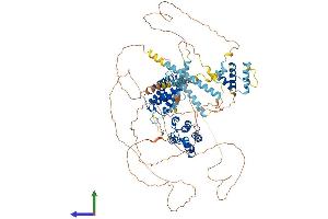 Protein Structure (PS) image for Bromodomain, Testis-Specific (BRDT) (AA 1-947) protein (His tag) (ABIN7552707)