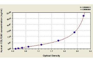 COL10A1 ELISA Kit