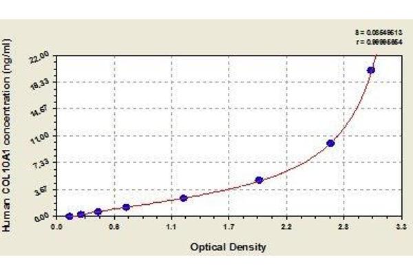 COL10A1 ELISA Kit