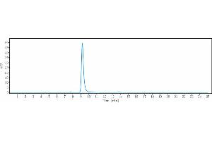 The purity of Anti-DPEP3 Reference Antibody (tamrintamab) is more than 95 % , determined by SEC-HPLC. (Recombinant DPEP3 (Tamrintamab Biosimilar) antibody)