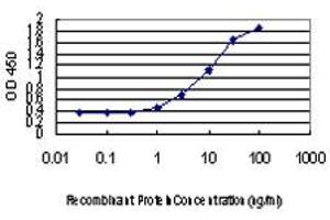 Detection limit for recombinant GST tagged DLX2 is approximately 1ng/ml as a capture antibody. (DLX2 antibody  (AA 1-110))