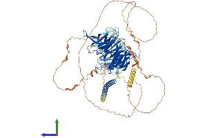 AlphaFold protein structure predicition of Human Recombinant RFWD3 Protein, UniprotID Q6PCD5