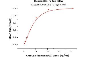 Immobilized Human C5a, Fc Tag (ABIN6810055,ABIN6938863) at 2 μg/mL (100 μL/well) can bind Anti-C5a (Human IgG1) with a linear range of 2-16 ng/mL (QC tested).