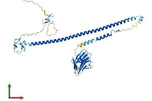 Protein Structure (PS) image for Tripartite Motif Containing 15 (TRIM15) (AA 1-465) protein (His tag) (ABIN7544797)